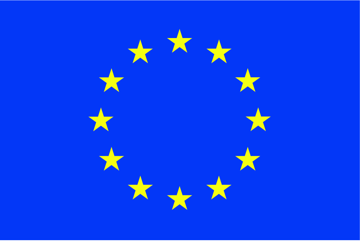EU Flagge
